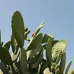 Palamoutaki Lejlighed Koskinou (Rhodes)