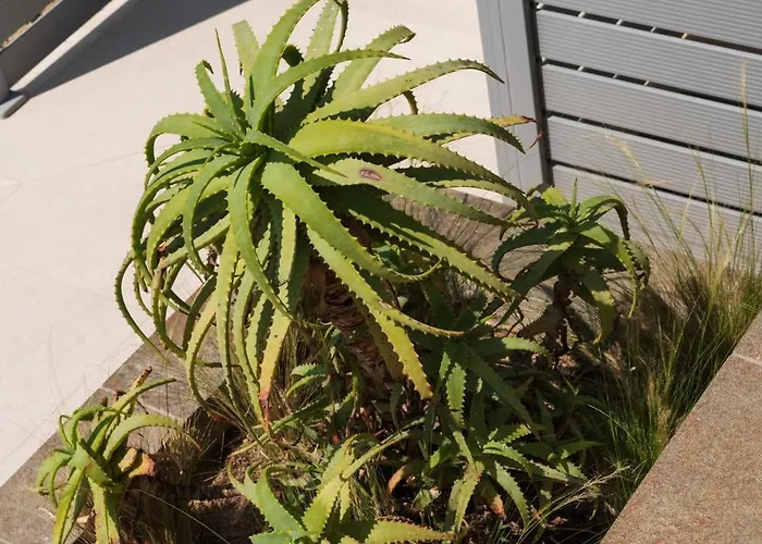 Palamoutaki Koskinou (Rhodes)