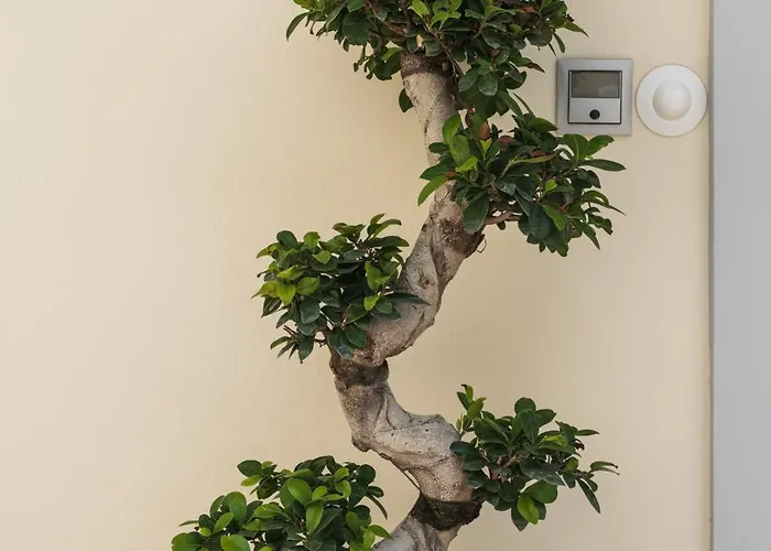 Palamoutaki Koskinou (Rhodes)