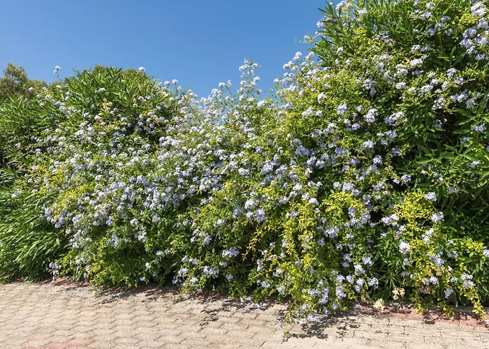 Palamoutaki شقة Koskinou (Rhodes)