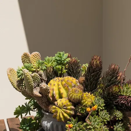 Appartement Palamoutaki Koskinou (Rhodes)