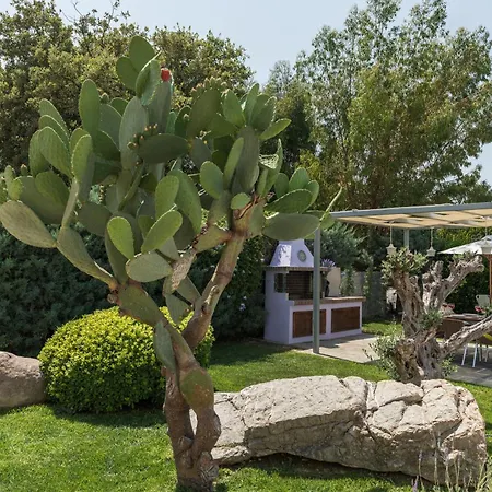 Appartement Palamoutaki