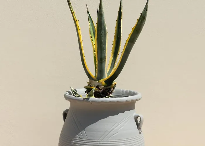 Appartamento Palamoutaki