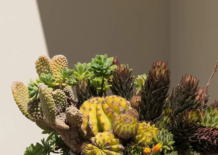 Appartamento Palamoutaki Koskinou (Rhodes)